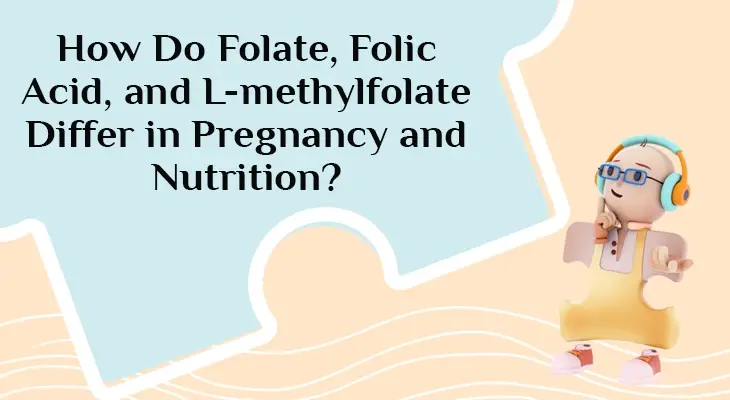 How Do Folate, Folic Acid, and L-methylfolate Differ in Pregnancy and Nutrition?