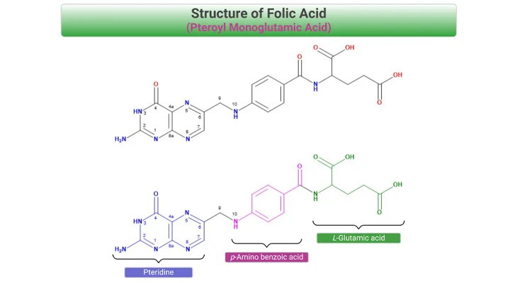 Structure of Folic Acid - Pteroyl Monoglutamic Acid