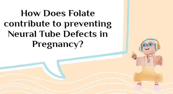 Folate's Role in Preventing Neural Tube Defects During Pregnancy